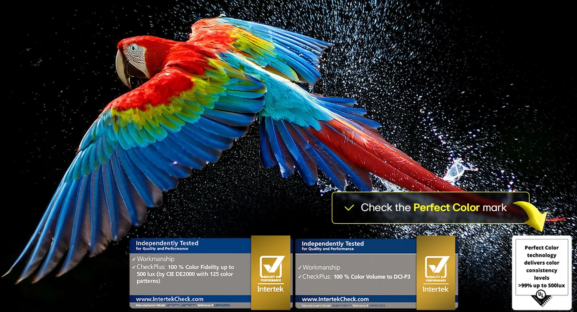OLED B5 Ai 4K Smart TV 17 imgi 79 oled b5 2025 05 feature perfect color d