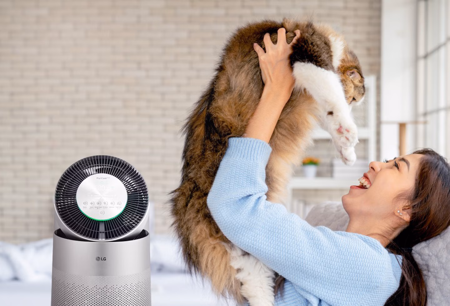 6 petcare